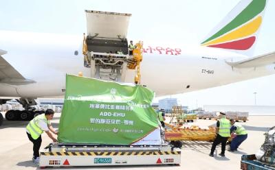 66吨非洲咖啡豆“空降”鄂州 中非空中丝路刷新贸易时速