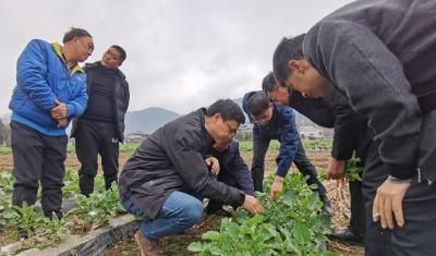 身边榜样 | 山河耕读十三春 阡陌深处有回响——记华中农业大学“硒望·农情”帮扶建始县团队
