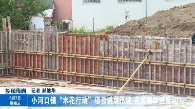 小河口镇“水花行动”项目进展迅速 完成整体进度60%