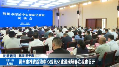 荆州市推进综治中心规范化建设现场会在我市召开    