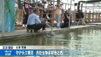 守护长江精灵  共赴生物多样性之约