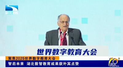 聚焦2025世界数字教育大会丨智启未来 湖北数智教育成果获外宾点赞