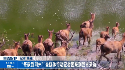 “每欲到荆州”全媒体行动记者团来到我市采访