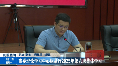 市委理论学习中心组举行2025年第六次集体学习