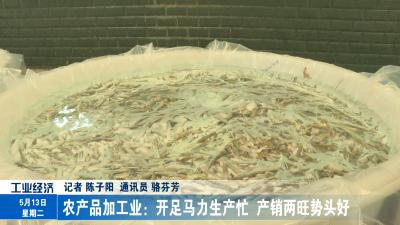 农产品加工业：开足马力生产忙  产销两旺势头好