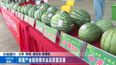 甜蜜产业链助推农业高质量发展