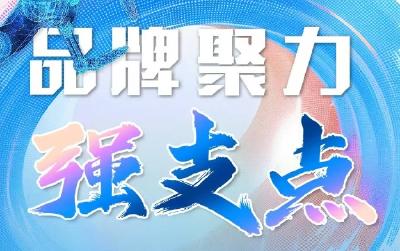 奋力向“品牌高峰”攀登