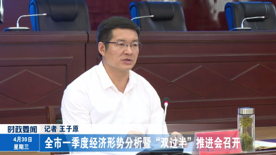 全市一季度经济形势分析暨“双过半”推进会召开