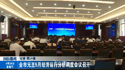 全市元至5月经济运行分析调度会议召开