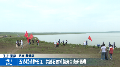 五协联动护长江   共绘石首笔架湾生态新画卷