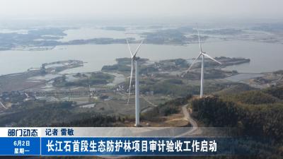  长江石首段生态防护林项目审计验收工作启动