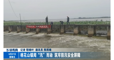 桃花山镇闻“汛”而动 筑牢防汛安全屏障