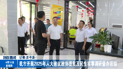 我市开展2025年人大建议政协提案及民生实事调研督办活动