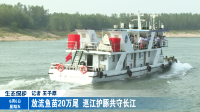 放流鱼苗20万尾  巡江护豚共守长江