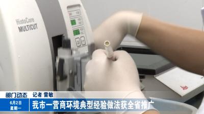  我市一营商环境典型经验做法获全省推广