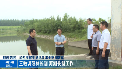 王敏调研林长制 河湖长制工作