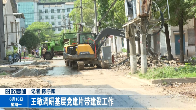 王敏调研基层党建片带建设工作