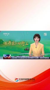 央视聚焦石首市团山寺镇：鸭苗入田.mp4