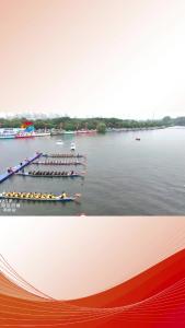 石首市龙舟队勇夺200米直道赛冠军.mp4