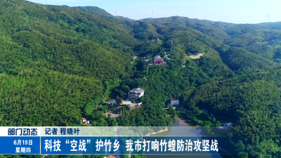 科技“空战”护竹乡 我市打响竹蝗防治攻坚战