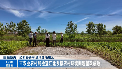 市农业农村局检查江北乡镇农村环境问题整改成效