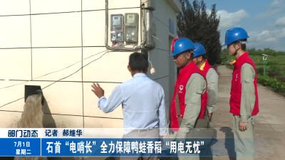 石首“电哨长”全力保障鸭蛙香稻“用电无忧”