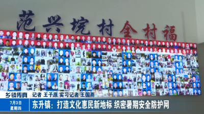 东升镇：打造文化惠民新地标 织密暑期安全防护网