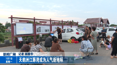 天鹅洲江豚湾成为人气新地标