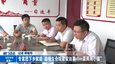 专家团下乡赋能  助推久合垸建设油菜“一菜两用小镇”