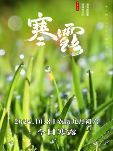 今日寒露，寒露初凝 秋意渐浓#洪湖#节气#寒露