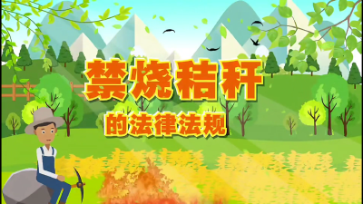禁烧秸秆的法律法规#洪湖#禁烧秸秆#普法宣传