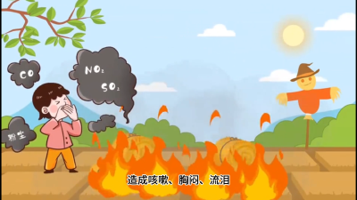 秸秆禁烧 人人有责 ，为建设生态洪湖献出自己的一份力量#洪湖#禁烧秸秆