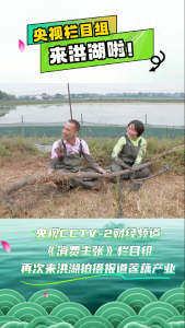 央视栏目组来洪湖啦！央视CCTV-2财经频道《消费主张》栏目组再次来洪湖拍摄报道莲藕产业#洪湖#央视#消费主张#洪湖莲藕