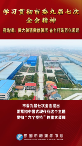 学习贯彻市委九届七次全会精神，府场镇：做大做强做优做活 奋力打造百亿园区#洪湖#市委九届七次全会#府场