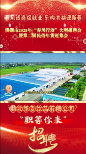 春风送岗促就业 乐购洪湖迎新春——洪湖市2025年“春风行动”大型招聘会暨第二届民俗年货赶集会 #湖北华贵饮品有限公司 #洪湖 #就业招聘