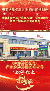 春风送岗促就业 乐购洪湖迎新春——洪湖市2025年“春风行动”大型招聘会暨第二届民俗年货赶集会 #洪湖荷莲生态产业发展集团有限公司 #洪湖 #就业招聘
