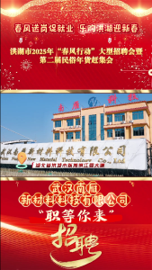 春风送岗促就业 乐购洪湖迎新春——洪湖市2025年“春风行动”大型招聘会暨第二届民俗年货赶集会 #武汉南雁新材料科技有限公司 #洪湖 #就业招聘
