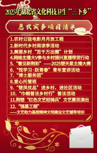 2025年湖北省文化科技卫生“三下乡”惠农实事项目清单#洪湖#三下乡