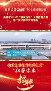 春风送岗促就业 乐购洪湖迎新春——洪湖市2025年“春风行动”大型招聘会暨第二届民俗年货赶集会 #湖北三立车灯有限公司 #洪湖 #就业招聘