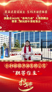 春风送岗促就业 乐购洪湖迎新春——洪湖市2025年“春风行动”大型招聘会暨第二届民俗年货赶集会 #长利玻璃洪湖有限公司 #洪湖 #就业招聘
