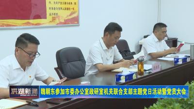 魏朝东参加市委办公室政研室机关联合支部主题党日活动暨党员大会 