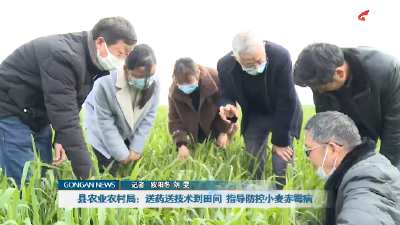 公安县农业农村局：送药送技术到田间 指导防控小麦赤霉病