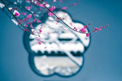 腊八遇上大寒，快要过年啦！