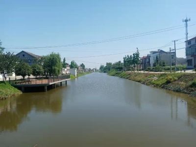 斑竹垱镇双石桥村在振兴中加速发展 规模生产引领新气象