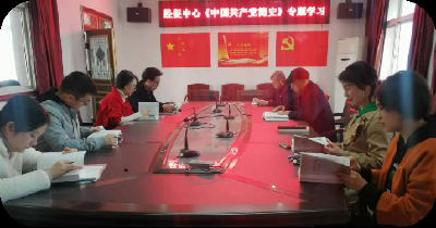 县经促中心组织开展《中国共产党简史》专题学习