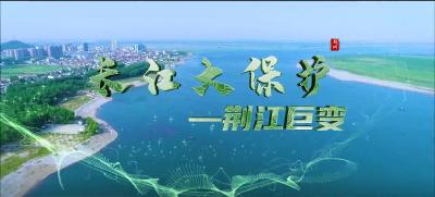 重磅微视频 | 长江大保护——荆江巨变