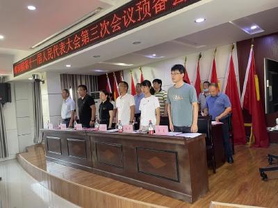 埠河镇第十一届人民代表大会第三次会议召开