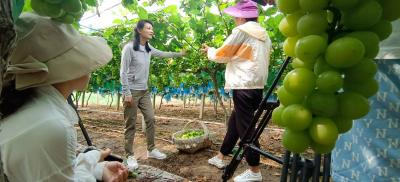央视纪录片《记住乡愁》摄制组采访公安县“甜蜜产业链” 