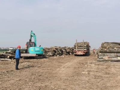 省水利事业发展中心调研公安分局林木采伐更新工作