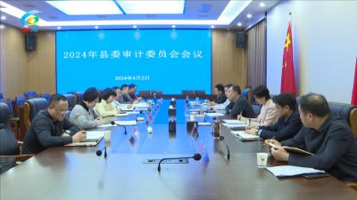 县委书记严广超主持召开2024年县委审计委员会会议